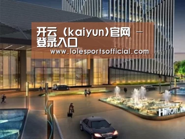 案例展示二
