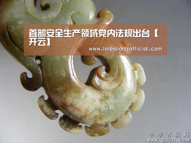首部安全生产领域党内法规出台【开云】(图1) 开云