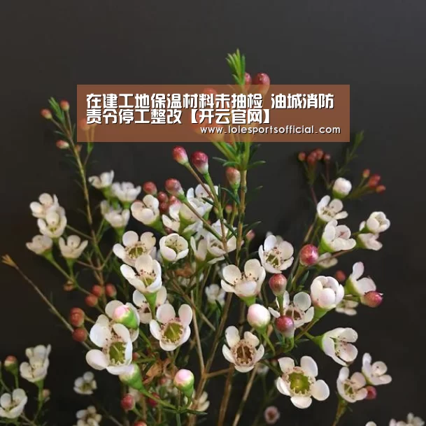 在建工地保温材料未抽检 油城消防责令停工整改【开云官网】(图2) 开云