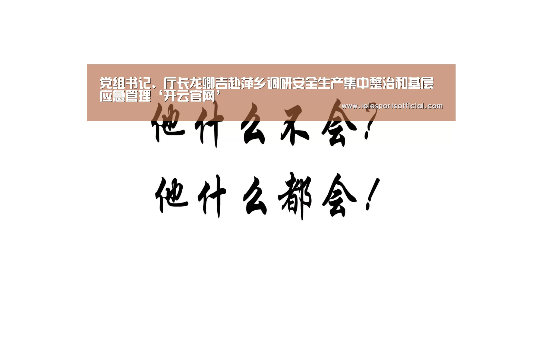 党组书记、厅长龙卿吉赴萍乡调研安全生产集中整治和基层应急管理‘开云官网’(图4) 开云
